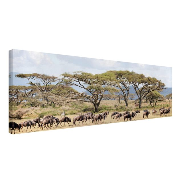 Quadri con paesaggio Mandria di gnu nella savana