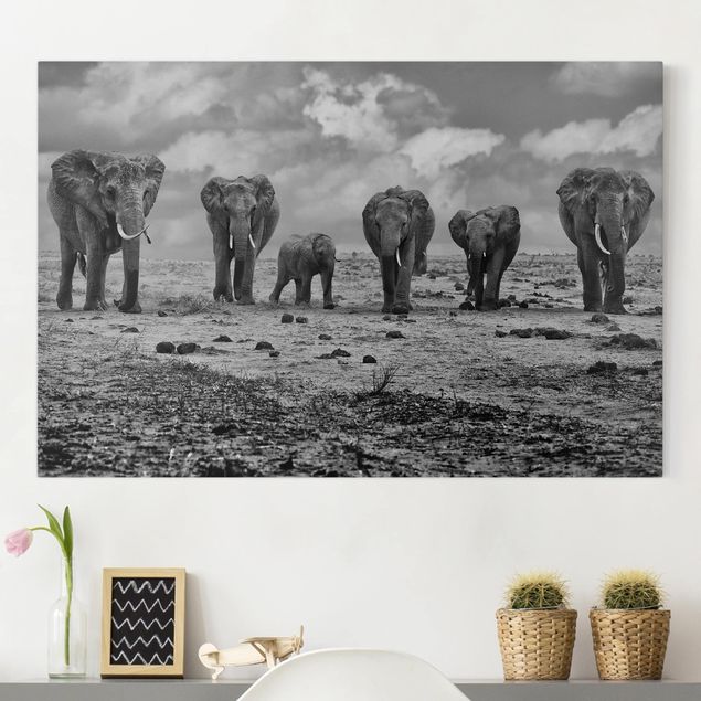 Quadri su tela con elefanti Famiglia numerosa