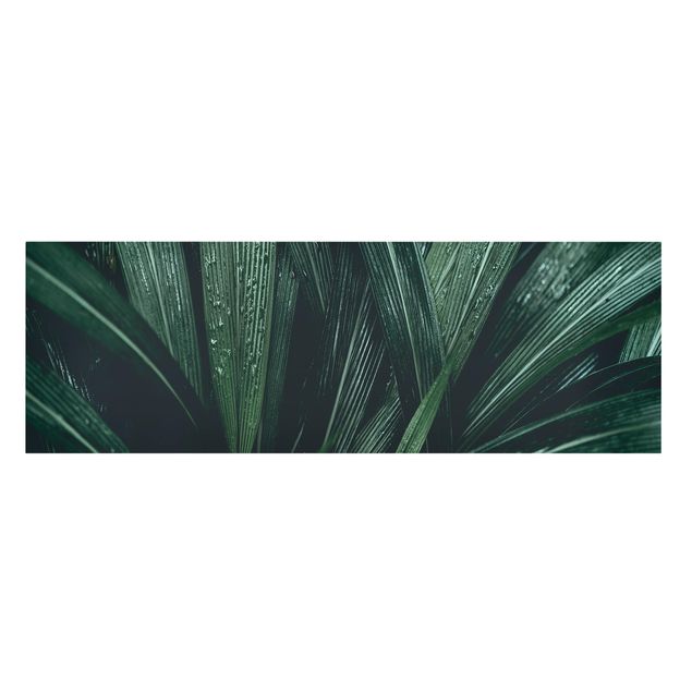 Quadri Foglie di palma verde