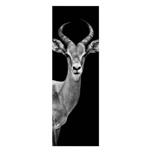 Stampe Antilope Impala in bianco e nero