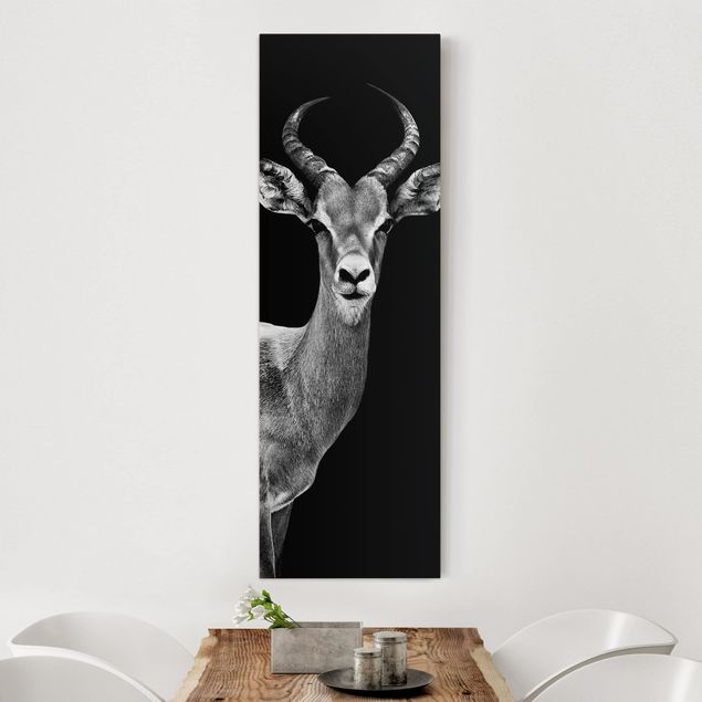 Quadri Africa Antilope Impala in bianco e nero
