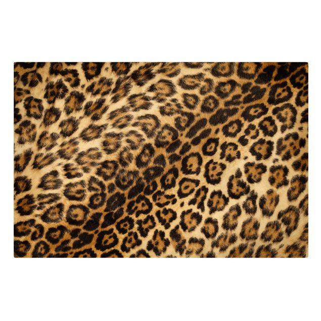 Stampe Pelle di giaguaro