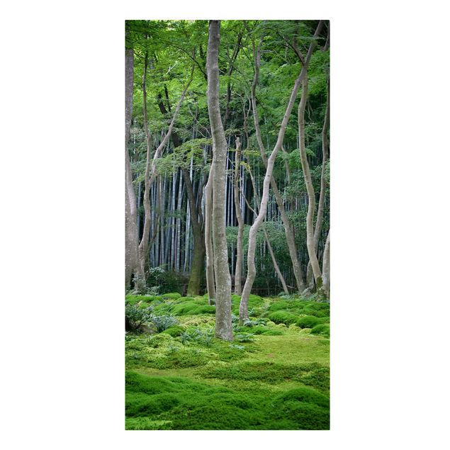 Quadri sulla natura Foresta giapponese