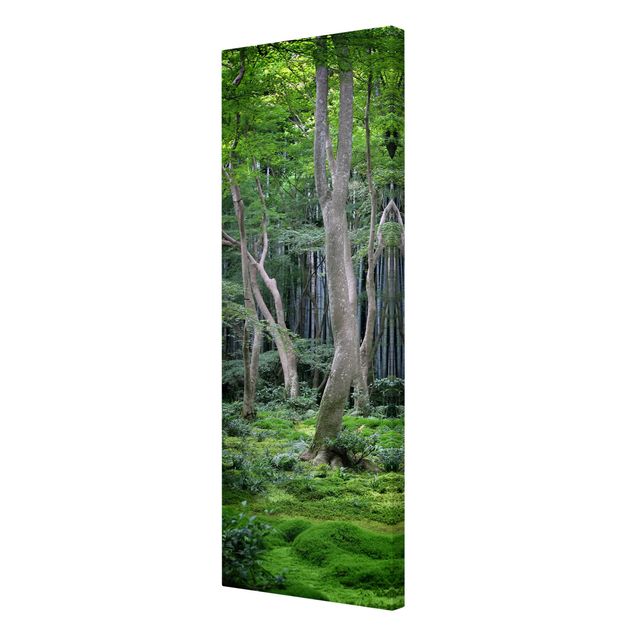 Stampe su tela paesaggio Foresta giapponese