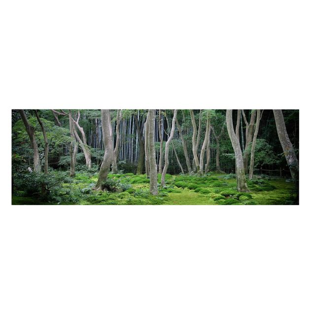 Quadro natura Foresta giapponese