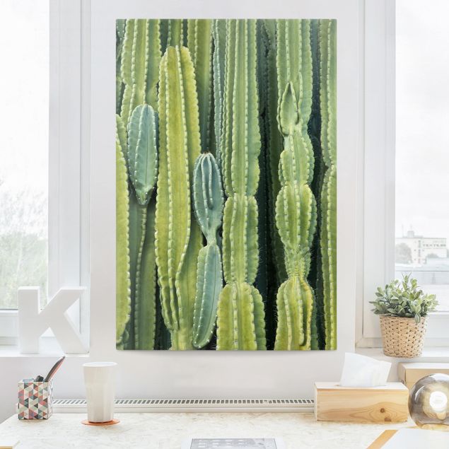 Quadri moderni per arredamento Muro di cactus