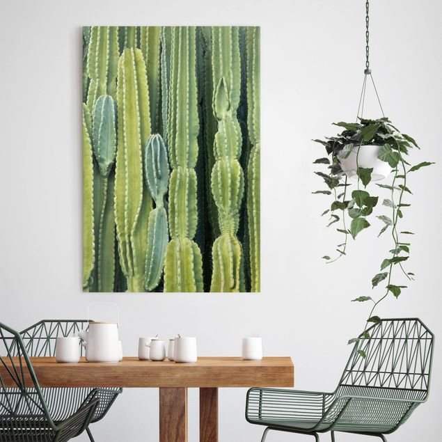 Quadri di fiori Muro di cactus
