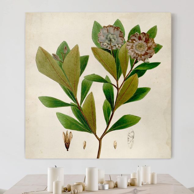 Quadri con fiori Poster con piante caducifoglie V