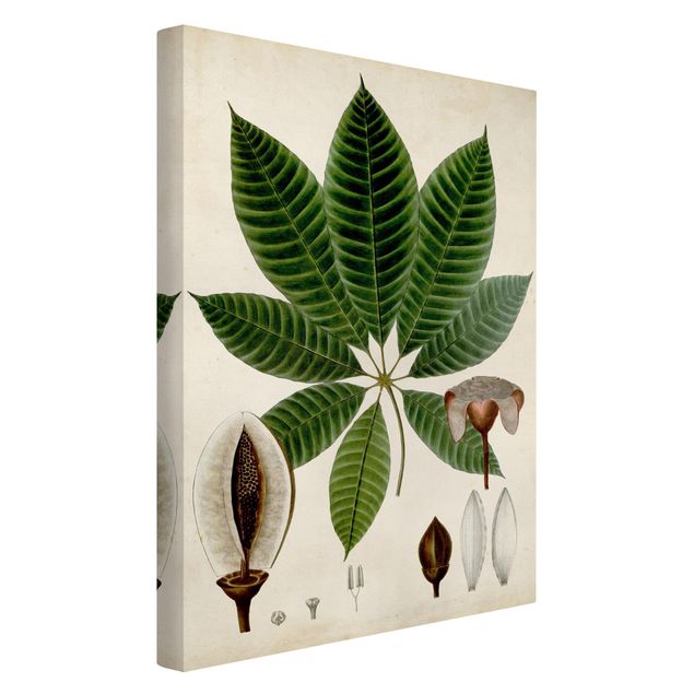 Quadro verde Poster con piante caducifoglie VII