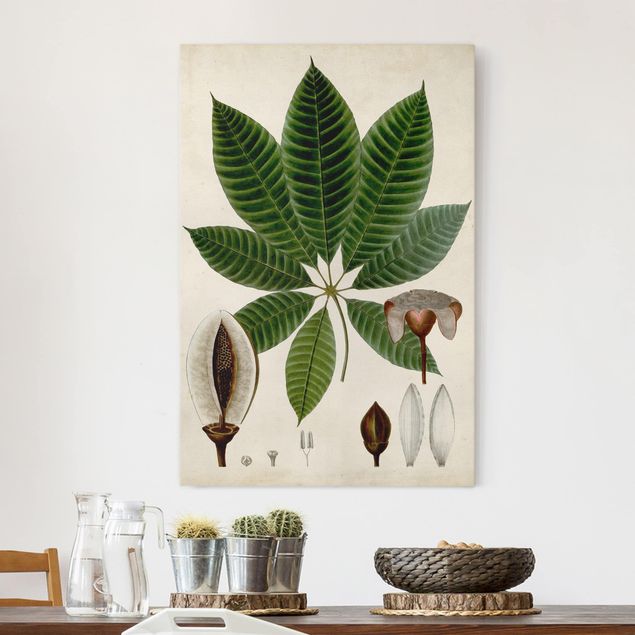 Quadro moderno Poster con piante caducifoglie VII