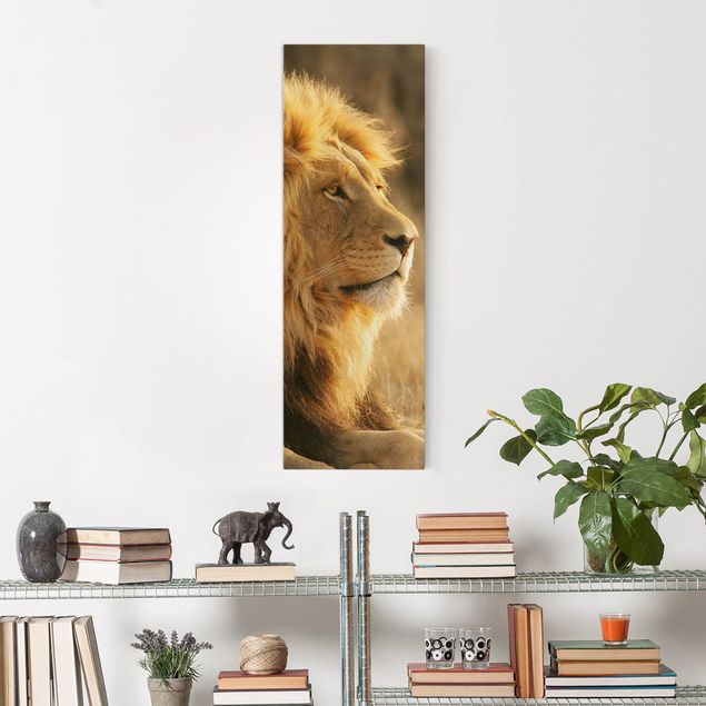 Quadro Africa Lion King