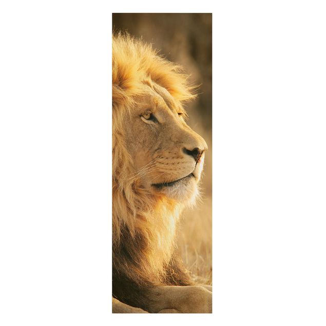 Quadro moderno Lion King