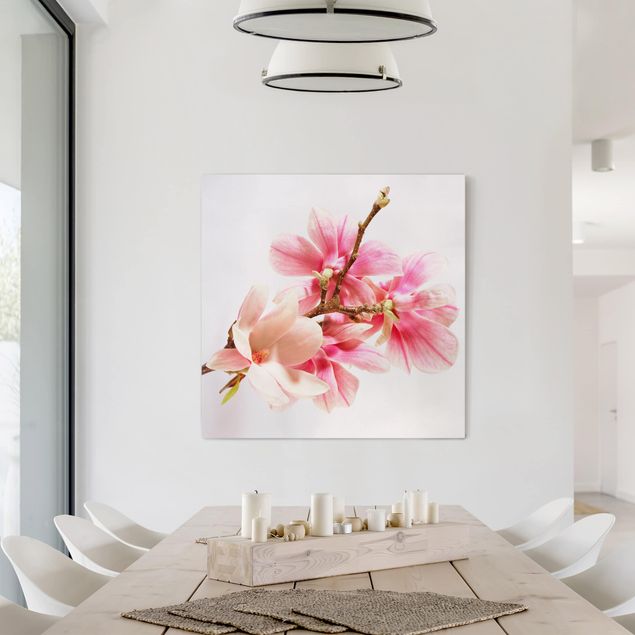 Quadri con fiori Fiori di magnolia
