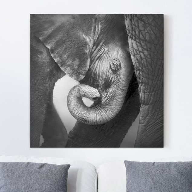 Quadri su tela con elefanti L'amore della madre