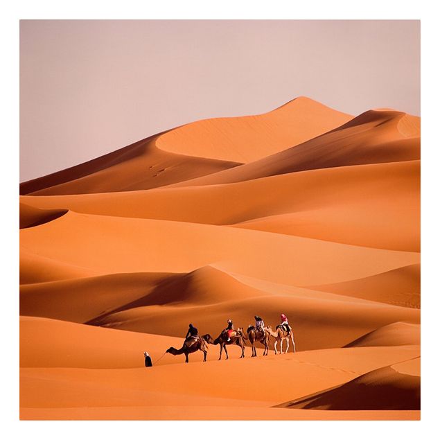 Quadri natura Deserto del Namib