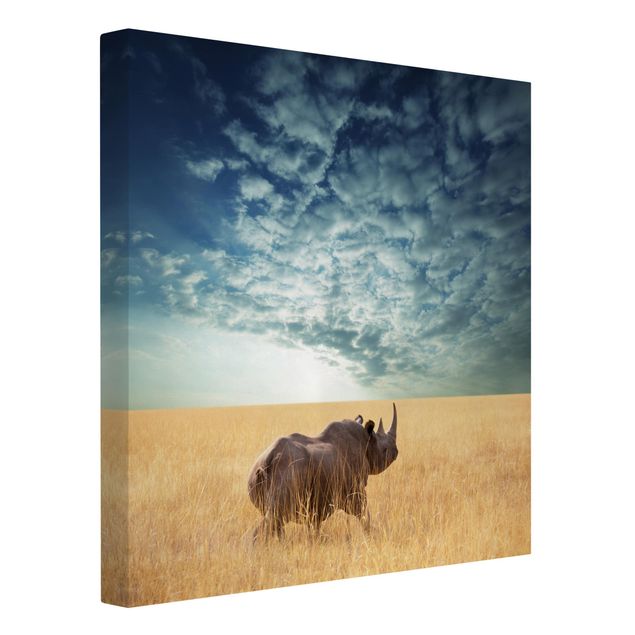 Quadro moderno Rinoceronte nella savana