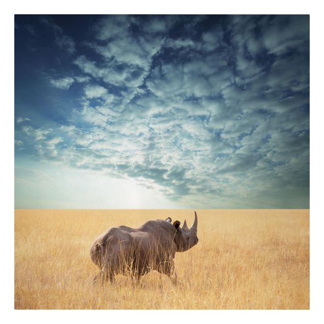 Quadro natura Rinoceronte nella savana