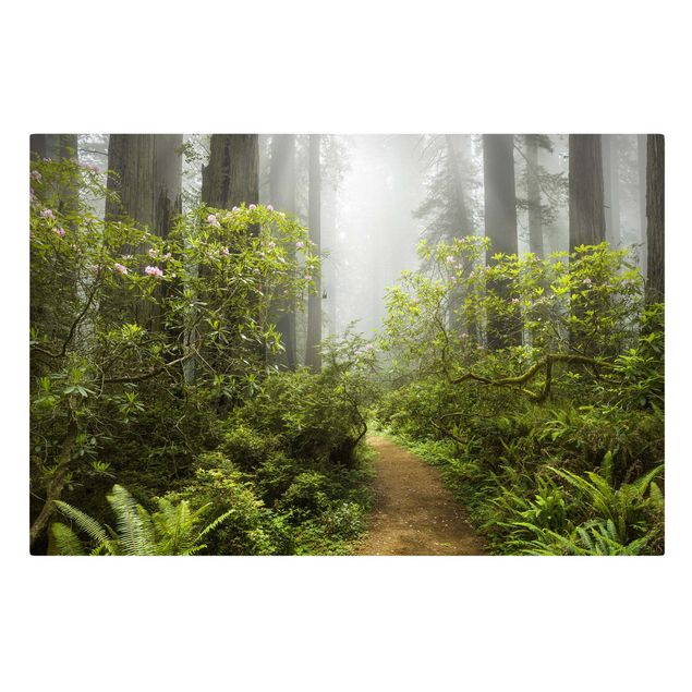 Quadro natura Sentiero della foresta nebbiosa