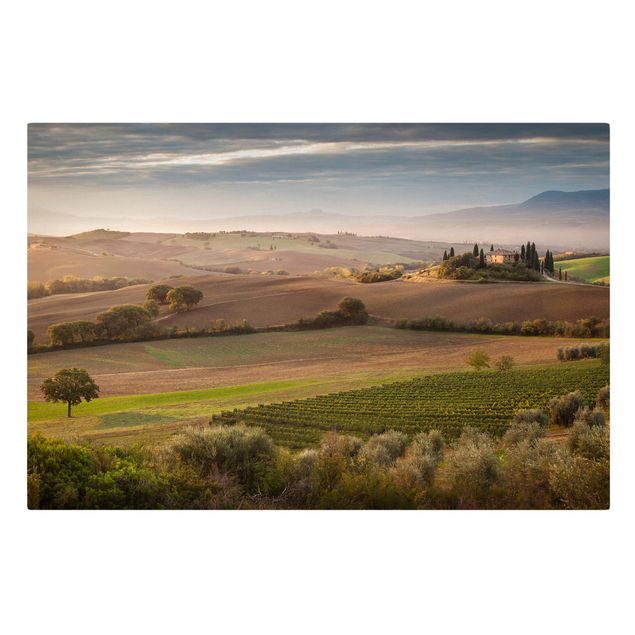 Quadri su tela paesaggio Oliveto in Toscana