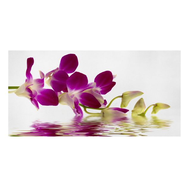 Quadri floreali moderni Acque di orchidee rosa