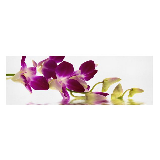 Quadri floreali Acque di orchidee rosa