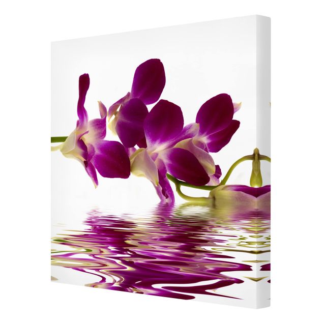 Stampe Acque di orchidee rosa