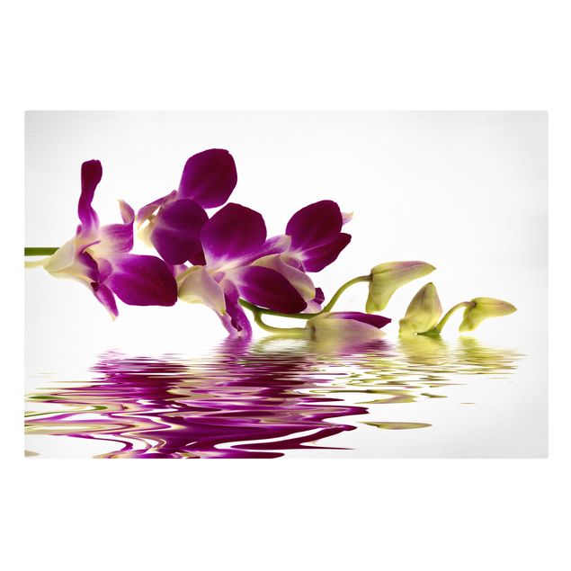 Quadri floreali moderni Acque di orchidee rosa