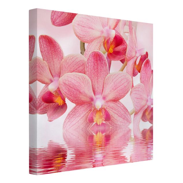 Quadri fiori Orchidea rosa chiaro sull'acqua