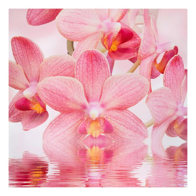 Quadro floreale Orchidea rosa chiaro sull'acqua