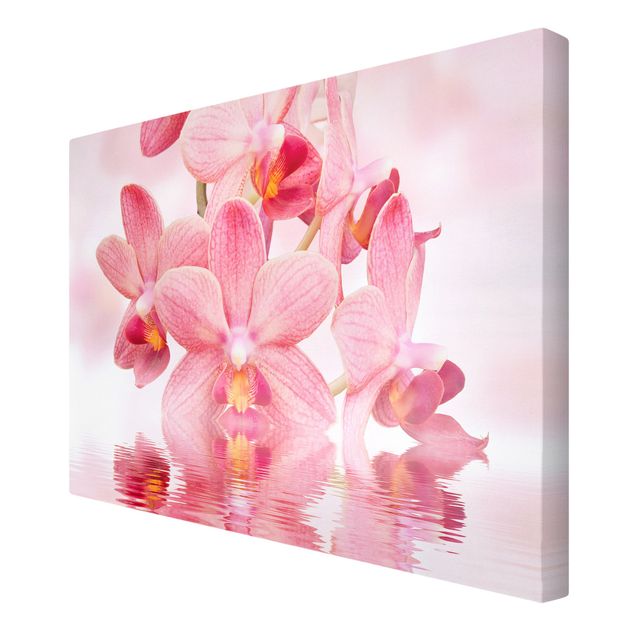 Quadri Orchidea rosa chiaro sull'acqua