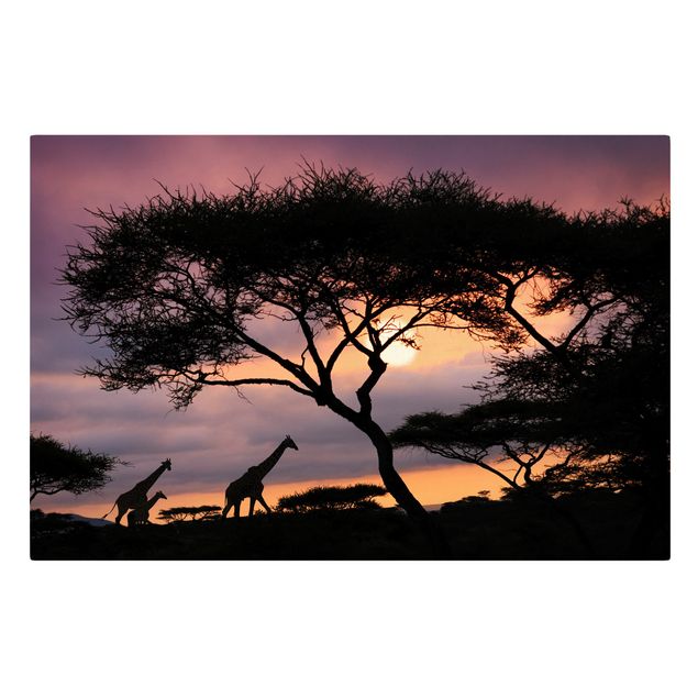 Quadro Africa Safari africano
