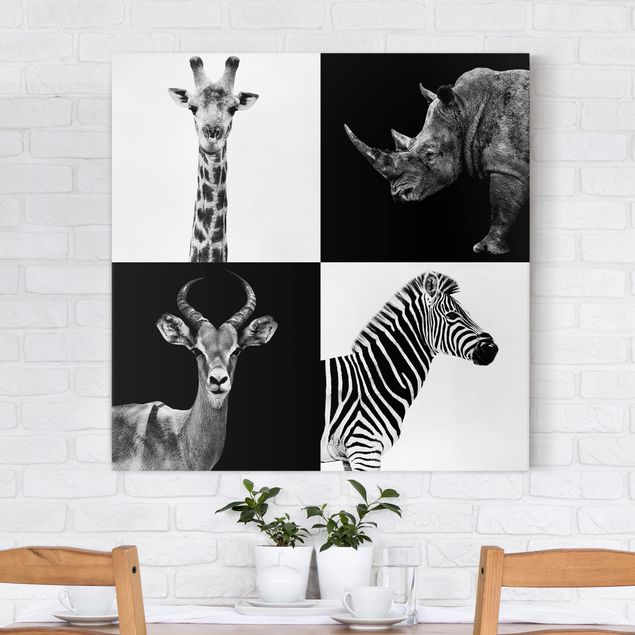 Quadri con zebre Quartetto di safari