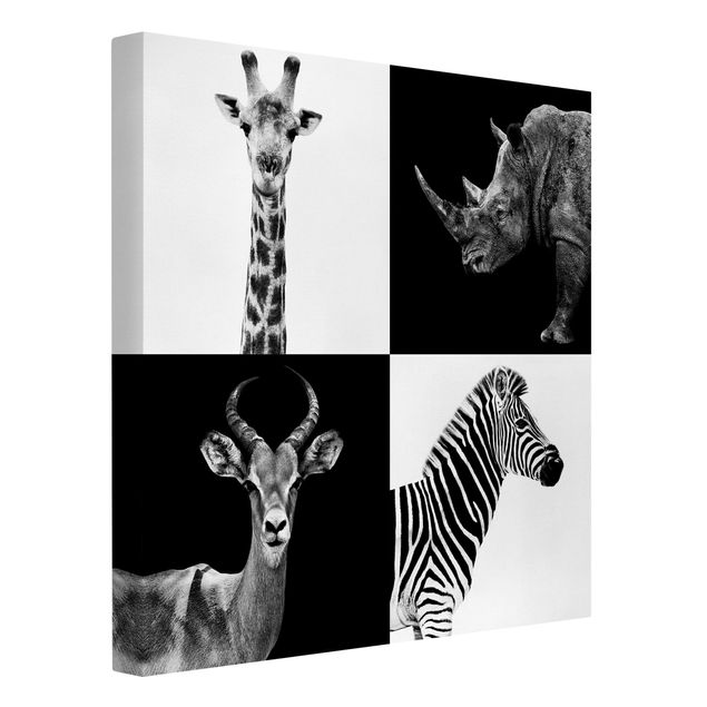 Quadri moderni bianco e nero Quartetto di safari