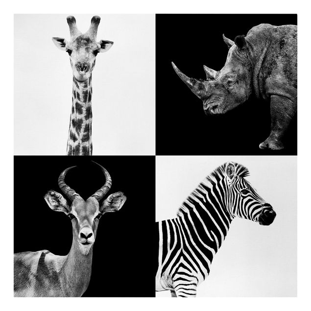 Quadro animali Quartetto di safari