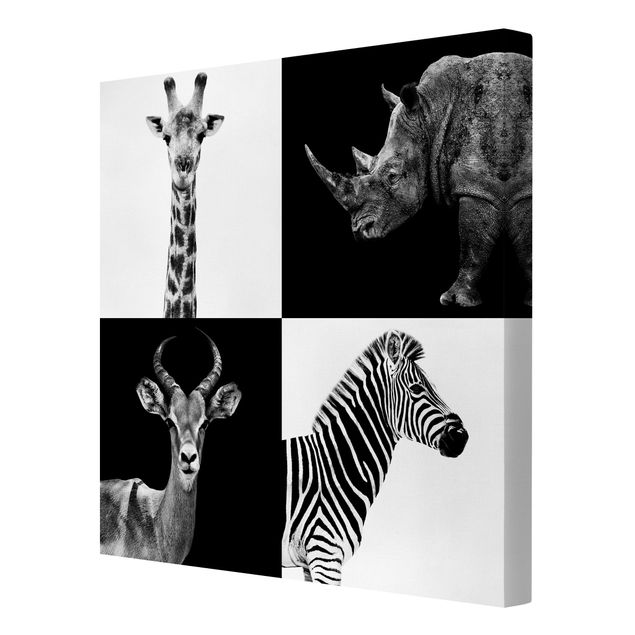 Quadri stampe Quartetto di safari