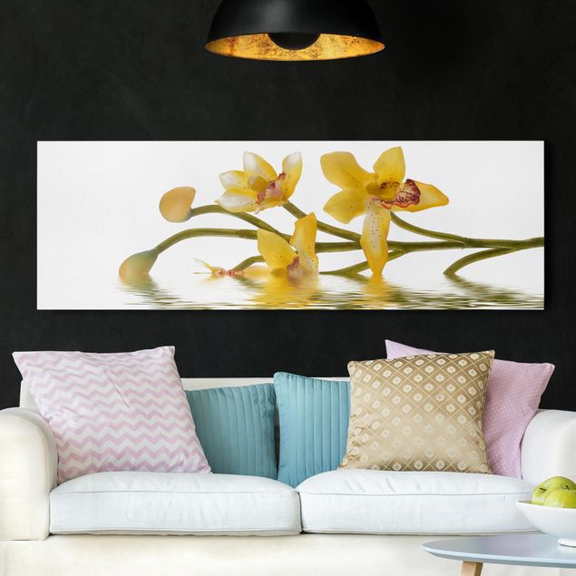 Quadri con orchidee Acque di orchidee color zafferano