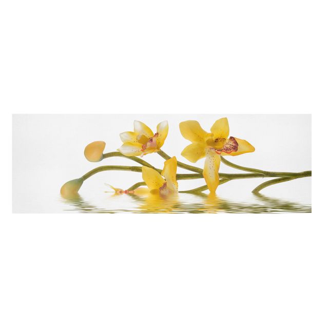 Quadri floreali Acque di orchidee color zafferano