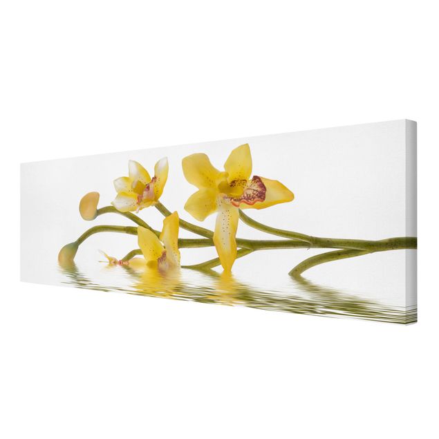 Stampe Acque di orchidee color zafferano