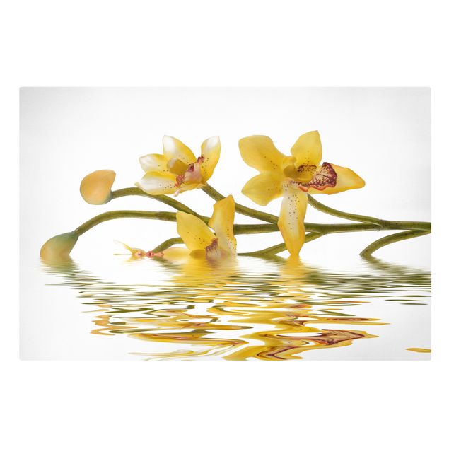 Quadro floreale Acque di orchidee color zafferano