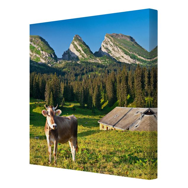 Quadro montagna Prato alpino svizzero con mucca
