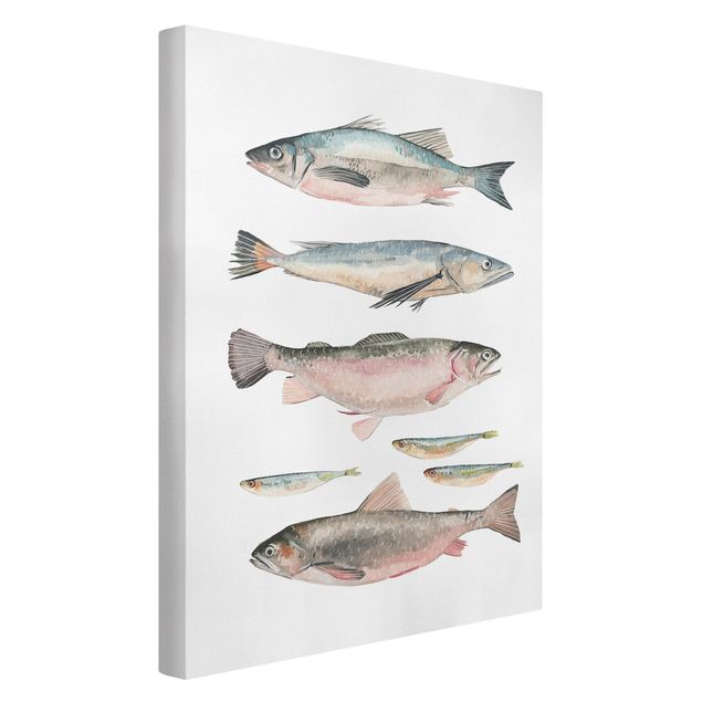 Quadri animali Sette pesci in acquerello I