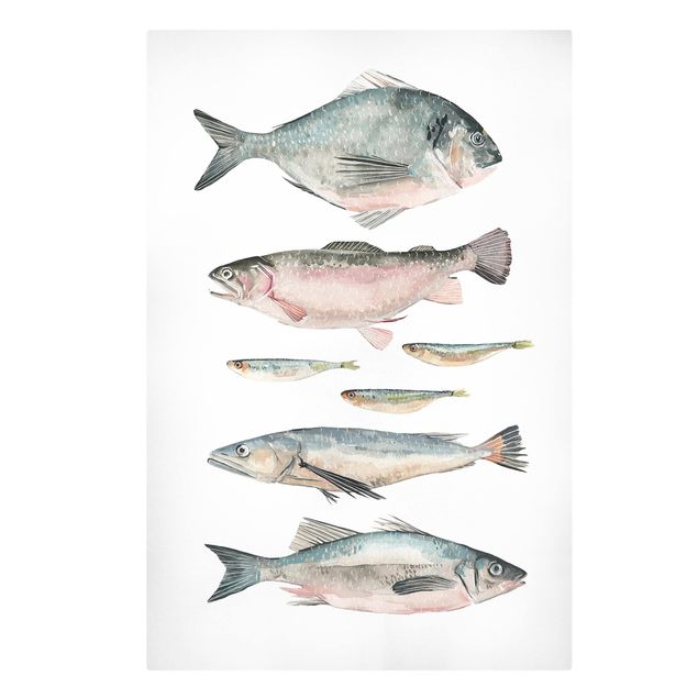 Quadro su tela animali Sette pesci in acquerello II