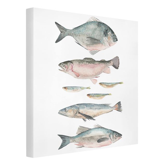 Quadro animali Sette pesci in acquerello II