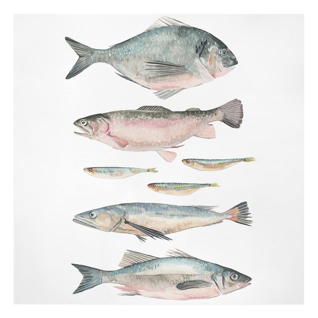 Stampe su tela animali Sette pesci in acquerello II