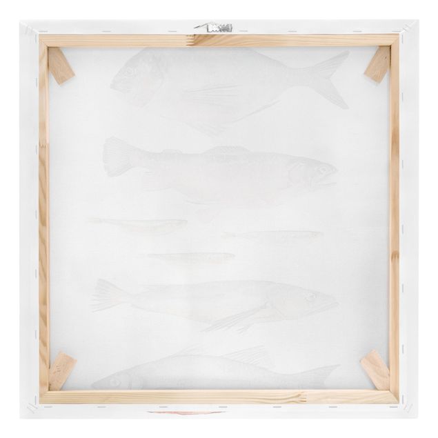 Quadri su tela Sette pesci in acquerello II