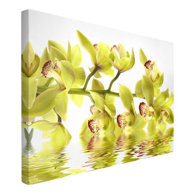 Quadri di fiori Splendide acque di orchidea