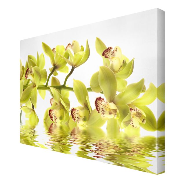 Quadri stampe Splendide acque di orchidea
