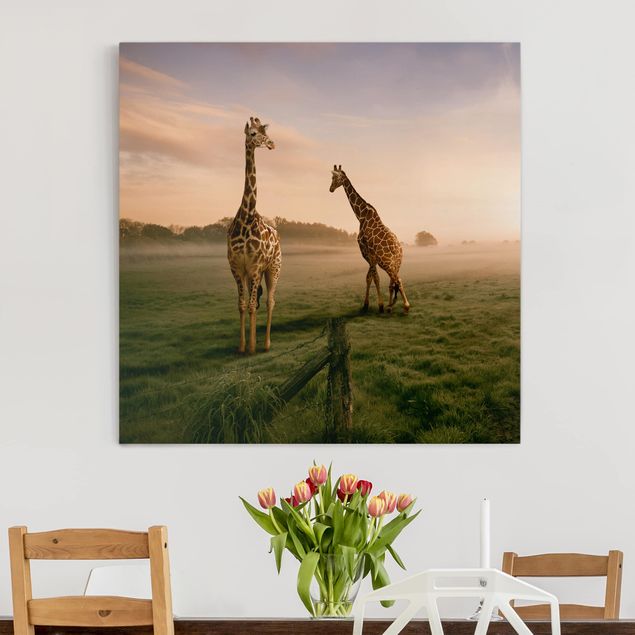 Quadri su tela con giraffe Giraffe surreali