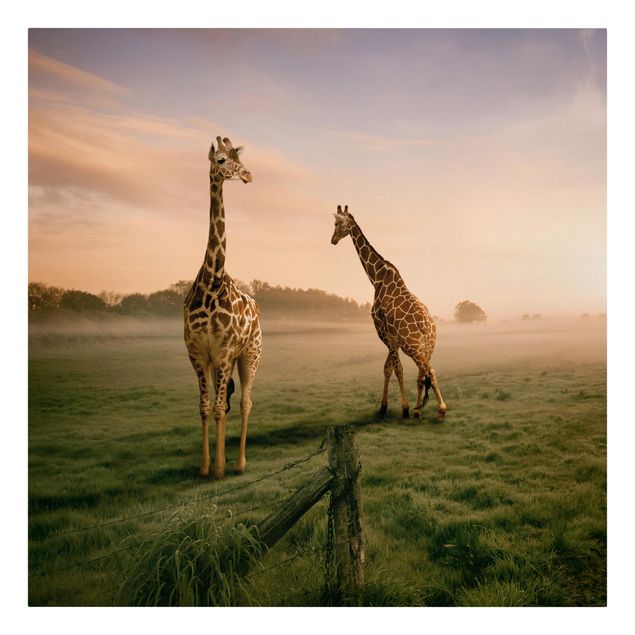 Quadri natura Giraffe surreali