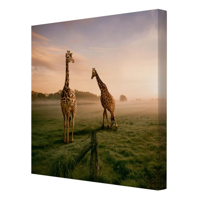 Quadri animali Giraffe surreali
